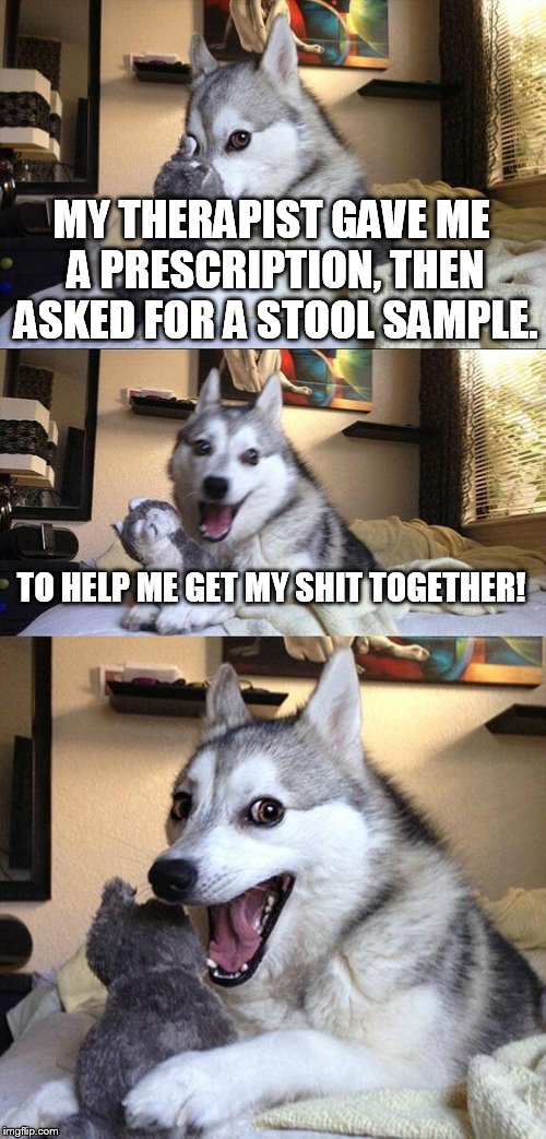 Bad Pun Dog Meme | MY THERAPIST GAVE ME A PRESCRIPTION, THEN ASKED FOR A STOOL SAMPLE. TO HELP ME GET MY SHIT TOGETHER! | image tagged in memes,bad pun dog | made w/ Imgflip meme maker