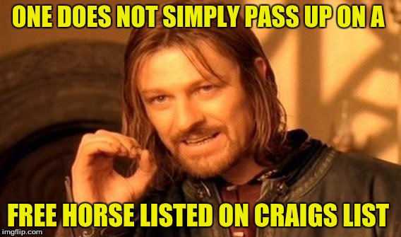 One Does Not Simply Meme | ONE DOES NOT SIMPLY PASS UP ON A FREE HORSE LISTED ON CRAIGS LIST | image tagged in memes,one does not simply | made w/ Imgflip meme maker