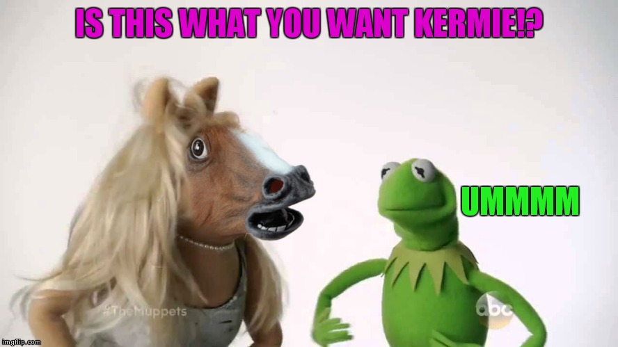 IS THIS WHAT YOU WANT KERMIE!? UMMMM | made w/ Imgflip meme maker