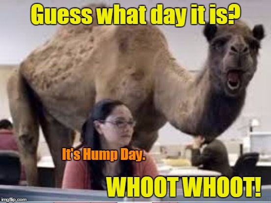 Guess what day it is? WHOOT WHOOT! It's Hump Day. | made w/ Imgflip meme maker