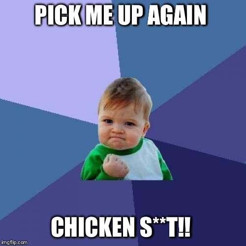 Success Kid Meme | PICK ME UP AGAIN; CHICKEN S**T!! | image tagged in memes,success kid | made w/ Imgflip meme maker
