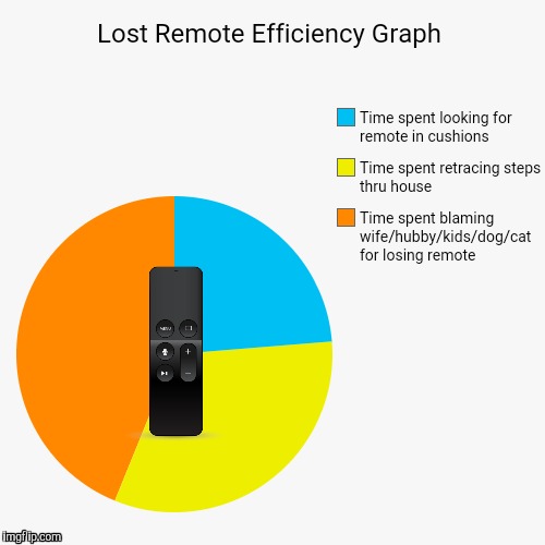 ...Lost Remote... | image tagged in pie charts,pie chart,funny | made w/ Imgflip meme maker