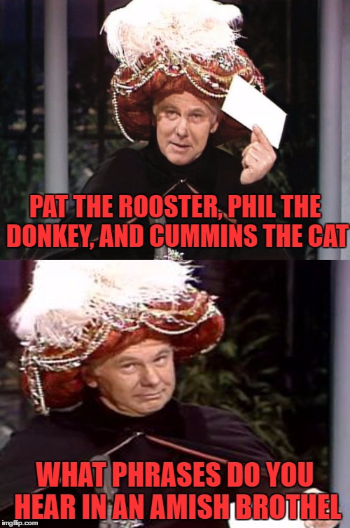 anyone who says this is a repost can suck my rooster | PAT THE ROOSTER, PHIL THE DONKEY, AND CUMMINS THE CAT; WHAT PHRASES DO YOU HEAR IN AN AMISH BROTHEL | image tagged in carnac the magnificent 3 | made w/ Imgflip meme maker