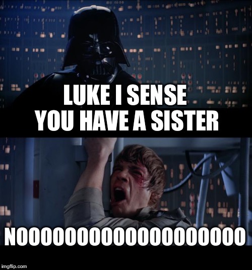 Luke doesn't want a sister | LUKE I SENSE YOU HAVE A SISTER; NOOOOOOOOOOOOOOOOOOO | image tagged in memes,star wars no | made w/ Imgflip meme maker
