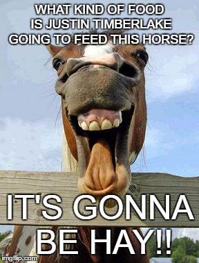 horsesmile | WHAT KIND OF FOOD IS JUSTIN TIMBERLAKE GOING TO FEED THIS HORSE? IT'S GONNA BE HAY!! | image tagged in horsesmile | made w/ Imgflip meme maker