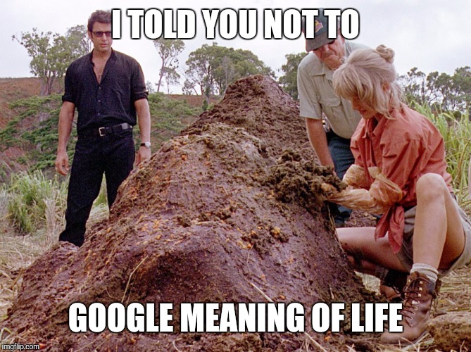 BS on the internet | I TOLD YOU NOT TO; GOOGLE MEANING OF LIFE | image tagged in jurassic park shit | made w/ Imgflip meme maker