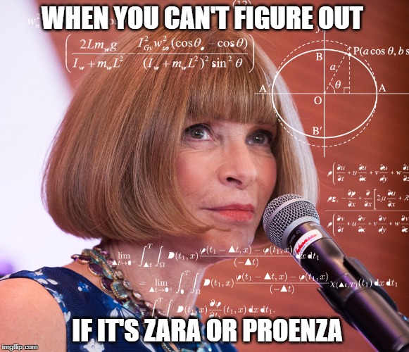 Zara has legit no chill when it comes to knocking off stuff from the runway. | WHEN YOU CAN'T FIGURE OUT; IF IT'S ZARA OR PROENZA | image tagged in fashion,zara,vogue,runway fashion | made w/ Imgflip meme maker