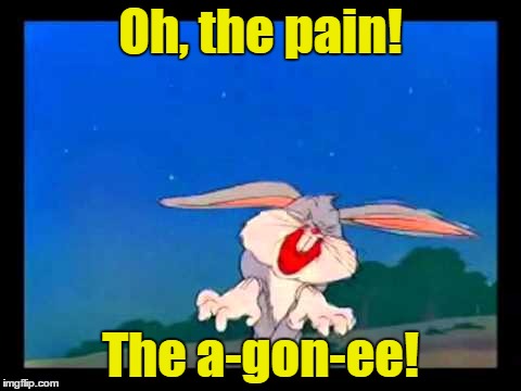 Oh, the pain! The a-gon-ee! | made w/ Imgflip meme maker