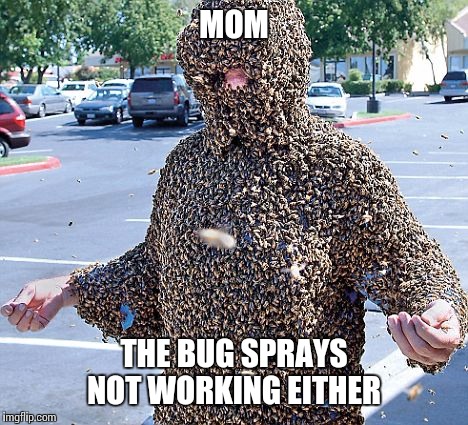 MOM THE BUG SPRAYS NOT WORKING EITHER | made w/ Imgflip meme maker