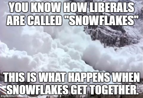 Avalanche | YOU KNOW HOW LIBERALS ARE CALLED "SNOWFLAKES"; THIS IS WHAT HAPPENS WHEN SNOWFLAKES GET TOGETHER. | image tagged in avalanche | made w/ Imgflip meme maker