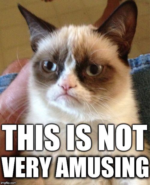 Grumpy Cat - This is not very Amusing | THIS IS NOT; VERY AMUSING | image tagged in memes,grumpy cat,not amusing | made w/ Imgflip meme maker