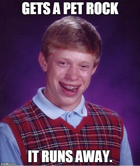 Just how unlucky can this guy get? | GETS A PET ROCK; IT RUNS AWAY. | image tagged in memes,bad luck brian,lol | made w/ Imgflip meme maker