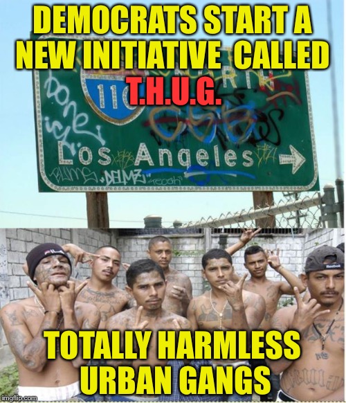 California | DEMOCRATS START A NEW INITIATIVE  CALLED; T.H.U.G. TOTALLY HARMLESS URBAN GANGS | image tagged in california | made w/ Imgflip meme maker