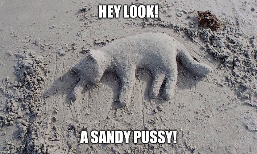 Sandy pussy | HEY LOOK! A SANDY PUSSY! | image tagged in sandy pussy,sand,pussy,lol,nsfw | made w/ Imgflip meme maker