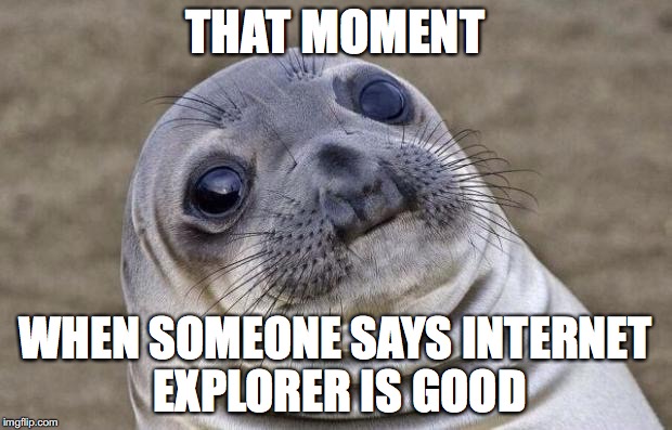 Awkward Moment Sealion | THAT MOMENT; WHEN SOMEONE SAYS INTERNET EXPLORER IS GOOD | image tagged in memes,awkward moment sealion | made w/ Imgflip meme maker