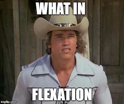 What in flexation | WHAT IN; FLEXATION | image tagged in funny | made w/ Imgflip meme maker