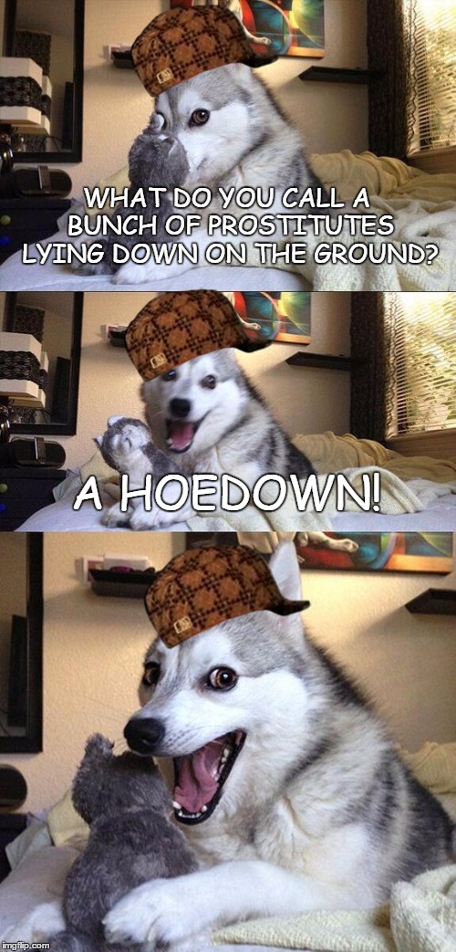 Bad Pun Dog Meme |  WHAT DO YOU CALL A BUNCH OF PROSTITUTES LYING DOWN ON THE GROUND? A HOEDOWN! | image tagged in memes,bad pun dog,scumbag | made w/ Imgflip meme maker