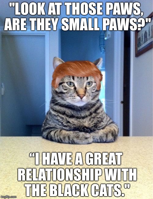 Random Trump Cat Quotes | "LOOK AT THOSE PAWS, ARE THEY SMALL PAWS?"; “I HAVE A GREAT RELATIONSHIP WITH THE BLACK CATS." | image tagged in trump cat,quotes | made w/ Imgflip meme maker