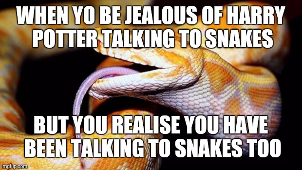 high af snake | WHEN YO BE JEALOUS OF HARRY POTTER TALKING TO SNAKES; BUT YOU REALISE YOU HAVE BEEN TALKING TO SNAKES TOO | image tagged in high af snake | made w/ Imgflip meme maker