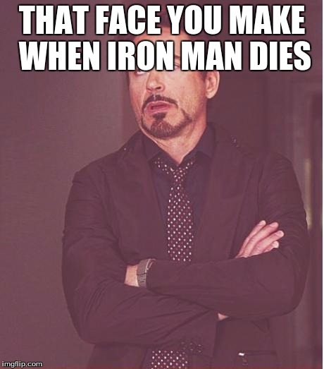 Face You Make Robert Downey Jr Meme | THAT FACE YOU MAKE WHEN IRON MAN DIES | image tagged in memes,face you make robert downey jr | made w/ Imgflip meme maker
