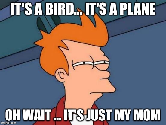 Futurama Fry Meme | IT'S A BIRD... IT'S A PLANE; OH WAIT ... IT'S JUST MY MOM | image tagged in memes,futurama fry | made w/ Imgflip meme maker