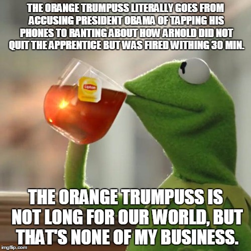 But That's None Of My Business Meme | THE ORANGE TRUMPUSS LITERALLY GOES FROM ACCUSING PRESIDENT OBAMA OF TAPPING HIS PHONES TO RANTING ABOUT HOW ARNOLD DID NOT QUIT THE APPRENTICE BUT WAS FIRED WITHING 30 MIN. THE ORANGE TRUMPUSS IS NOT LONG FOR OUR WORLD, BUT THAT'S NONE OF MY BUSINESS. | image tagged in memes,but thats none of my business,kermit the frog | made w/ Imgflip meme maker
