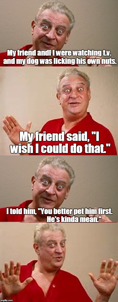 Bad Pun Rodney Dangerfield | My friend andI I were watching t.v. and my dog was licking his own nuts. My friend said, "I wish I could do that."; I told him, "You better pet him first.                      He's kinda mean." | image tagged in bad pun rodney dangerfield | made w/ Imgflip meme maker