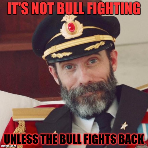 IT'S NOT BULL FIGHTING UNLESS THE BULL FIGHTS BACK | made w/ Imgflip meme maker