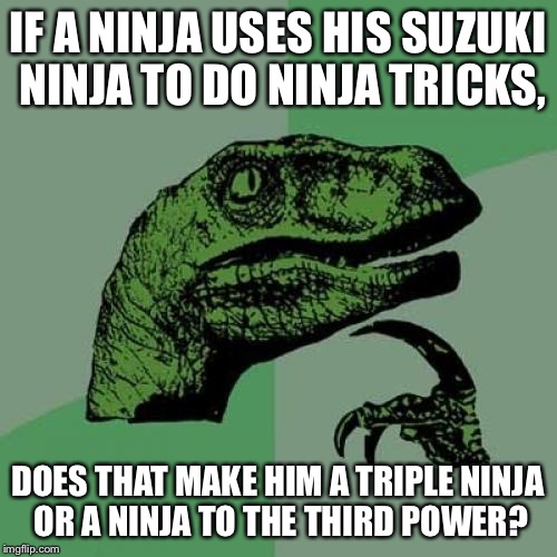 Philosoraptor Meme | IF A NINJA USES HIS SUZUKI NINJA TO DO NINJA TRICKS, DOES THAT MAKE HIM A TRIPLE NINJA OR A NINJA TO THE THIRD POWER? | image tagged in memes,philosoraptor | made w/ Imgflip meme maker