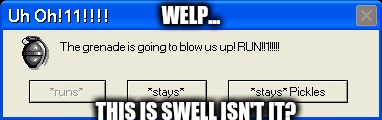 Error. | WELP... THIS IS SWELL ISN'T IT? | image tagged in custom_error_message | made w/ Imgflip meme maker