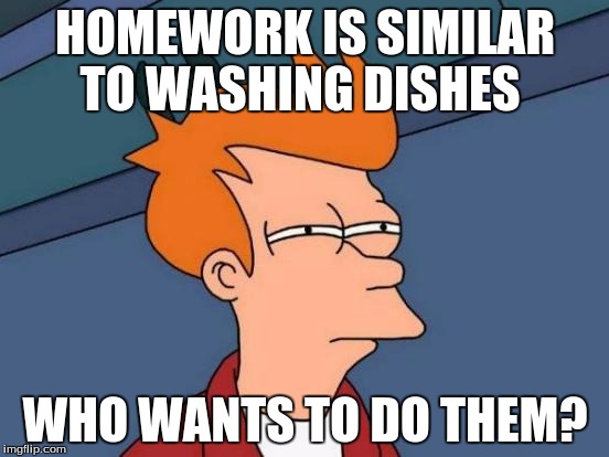 Futurama Fry | HOMEWORK IS SIMILAR TO WASHING DISHES; WHO WANTS TO DO THEM? | image tagged in memes,futurama fry | made w/ Imgflip meme maker
