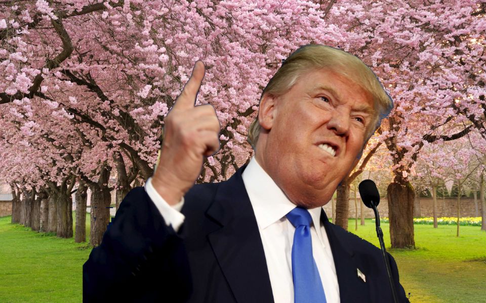 SpringTrump Blank Meme Template