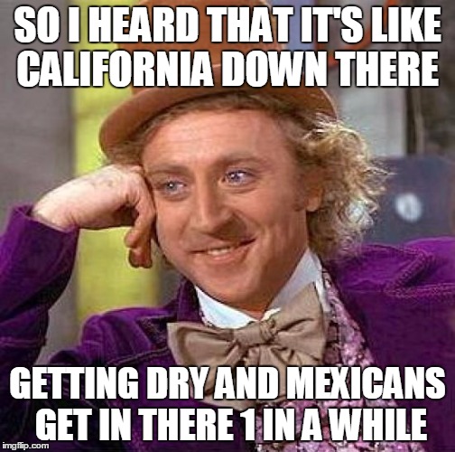 Creepy Condescending Wonka Meme | SO I HEARD THAT IT'S LIKE CALIFORNIA DOWN THERE; GETTING DRY AND MEXICANS GET IN THERE 1 IN A WHILE | image tagged in memes,creepy condescending wonka | made w/ Imgflip meme maker