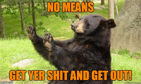 No Bear Blank | NO MEANS GET YER SHIT AND GET OUT! | image tagged in no bear blank | made w/ Imgflip meme maker