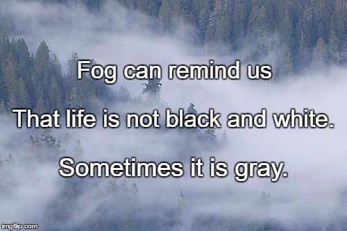 foggy | Fog can remind us; That life is not black and white. Sometimes it is gray. | image tagged in foggy | made w/ Imgflip meme maker