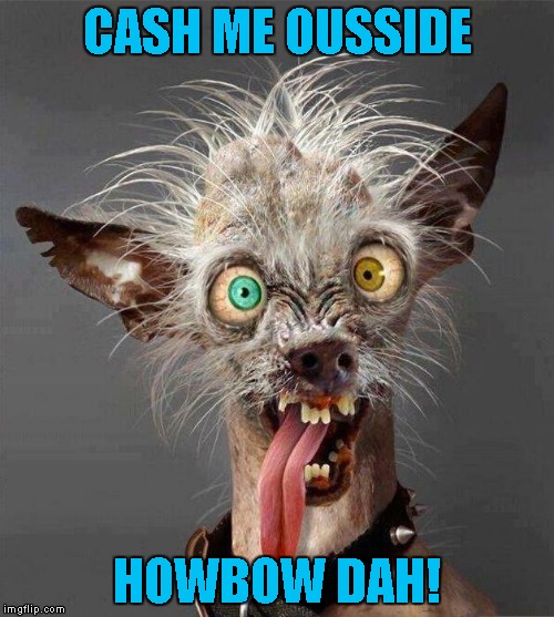 ugly dog 2.0 | CASH ME OUSSIDE; HOWBOW DAH! | image tagged in ugly dog 20 | made w/ Imgflip meme maker
