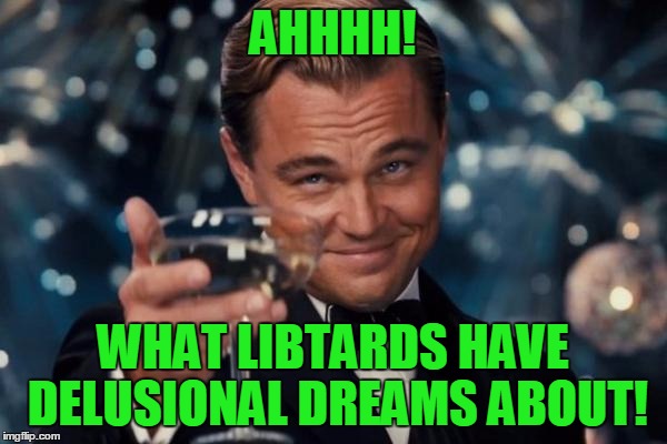 Leonardo Dicaprio Cheers Meme | AHHHH! WHAT LIBTARDS HAVE DELUSIONAL DREAMS ABOUT! | image tagged in memes,leonardo dicaprio cheers | made w/ Imgflip meme maker