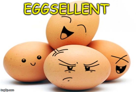 Eggsellent | EGGSELLENT | image tagged in excellent | made w/ Imgflip meme maker