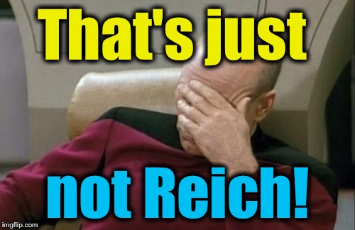 Captain Picard Facepalm Meme | That's just not Reich! | image tagged in memes,captain picard facepalm | made w/ Imgflip meme maker