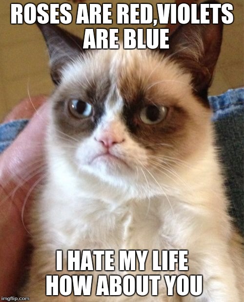 Grumpy Cat | ROSES ARE RED,VIOLETS  ARE BLUE; I HATE MY LIFE HOW ABOUT YOU | image tagged in memes,grumpy cat | made w/ Imgflip meme maker