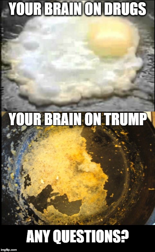 All Brains Matter | YOUR BRAIN ON DRUGS; YOUR BRAIN ON TRUMP; ANY QUESTIONS? | image tagged in donald trump,trump,drugs are bad | made w/ Imgflip meme maker