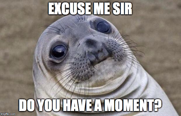 Awkward Moment Sealion | EXCUSE ME SIR; DO YOU HAVE A MOMENT? | image tagged in memes,awkward moment sealion | made w/ Imgflip meme maker