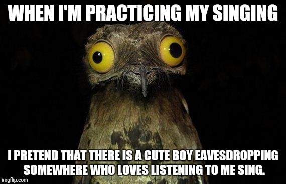 Weird Stuff I Do Potoo | WHEN I'M PRACTICING MY SINGING; I PRETEND THAT THERE IS A CUTE BOY EAVESDROPPING SOMEWHERE WHO LOVES LISTENING TO ME SING. | image tagged in memes,weird stuff i do potoo | made w/ Imgflip meme maker