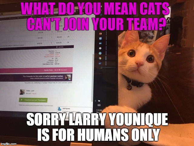WHAT DO YOU MEAN CATS CAN'T JOIN
YOUR TEAM? SORRY LARRY YOUNIQUE IS FOR HUMANS ONLY | image tagged in can i join larry | made w/ Imgflip meme maker