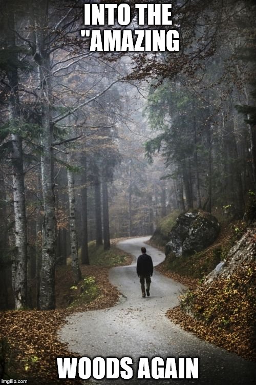 Man Walking Alone In woods | INTO THE "AMAZING; WOODS AGAIN | image tagged in man walking alone in woods | made w/ Imgflip meme maker