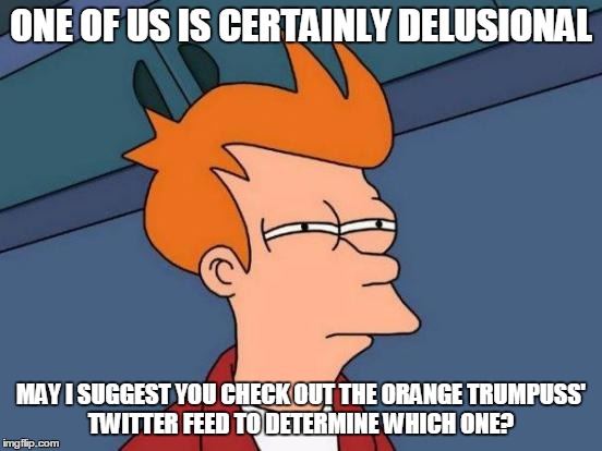 Futurama Fry Meme | ONE OF US IS CERTAINLY DELUSIONAL MAY I SUGGEST YOU CHECK OUT THE ORANGE TRUMPUSS' TWITTER FEED TO DETERMINE WHICH ONE? | image tagged in memes,futurama fry | made w/ Imgflip meme maker