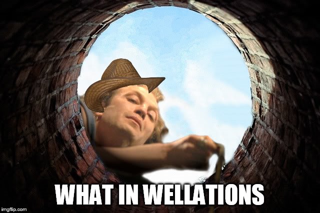 WHAT IN WELLATIONS | made w/ Imgflip meme maker