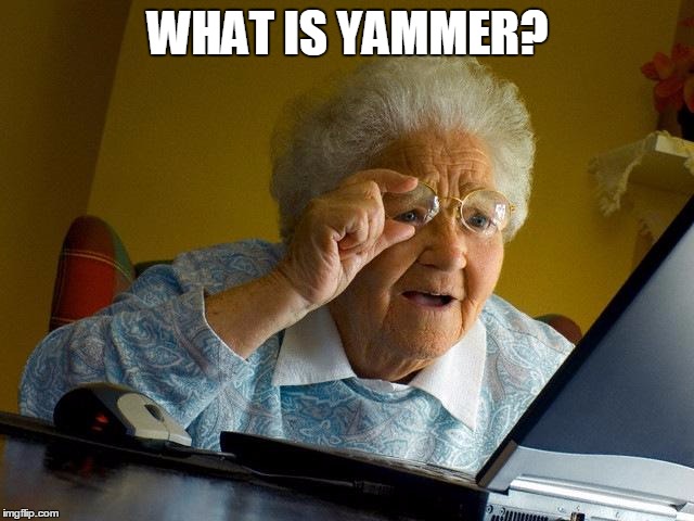 Grandma Finds The Internet Meme | WHAT IS YAMMER? | image tagged in memes,grandma finds the internet | made w/ Imgflip meme maker