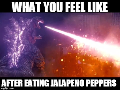 godzilla | WHAT YOU FEEL LIKE; AFTER EATING JALAPENO PEPPERS | image tagged in godzilla | made w/ Imgflip meme maker