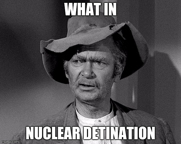 What in tarnation | WHAT IN; NUCLEAR DETINATION | image tagged in what in tarnation | made w/ Imgflip meme maker